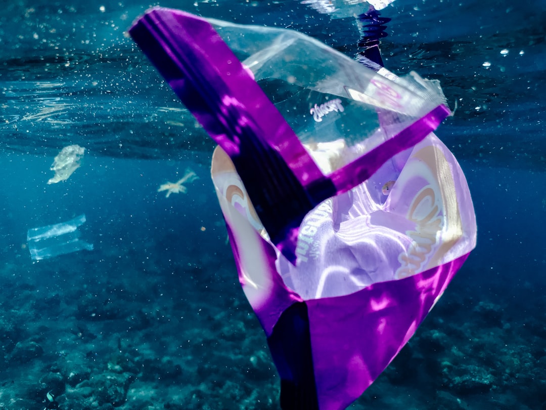 Photo Underwater garbage