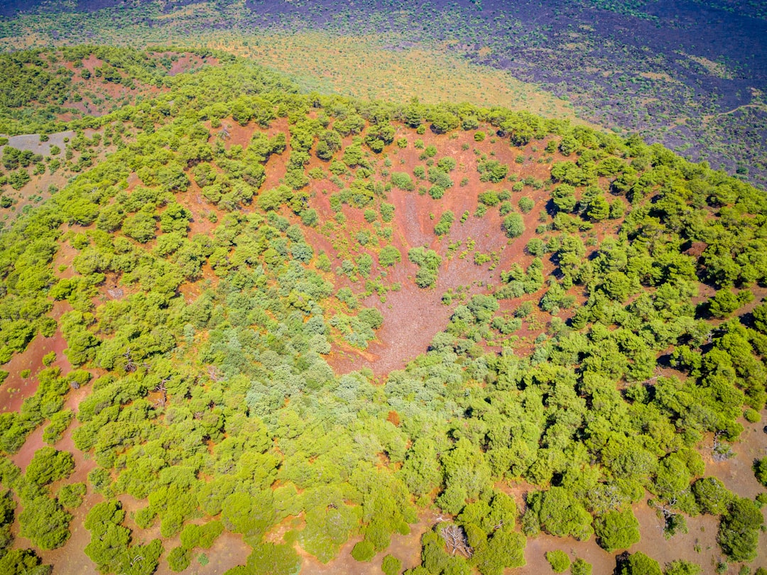 Photo Deforestation vs Reforestation
