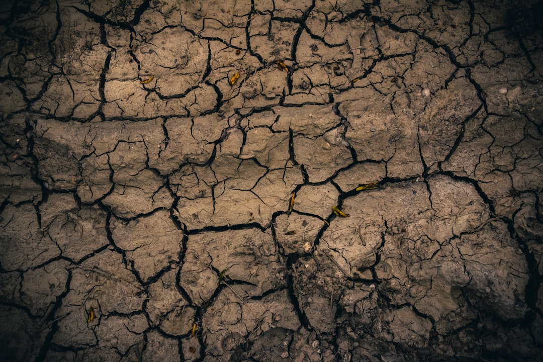 Photo Drought-stricken fields
