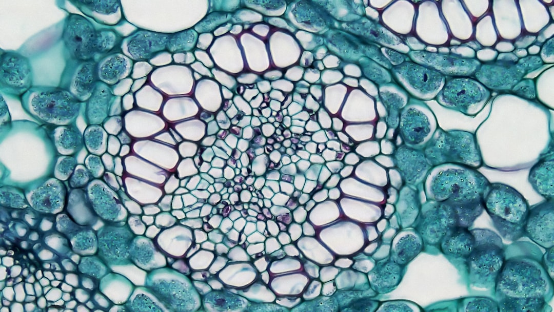 Photo Microscopic beauty