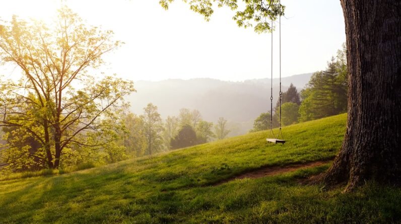 Photo Fertile farmland