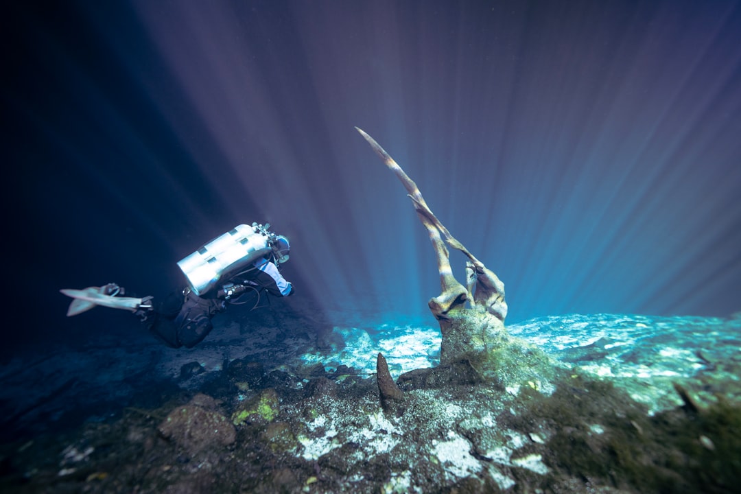 Photo Underwater cleanup