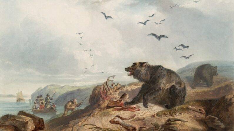 Photo Species extinction