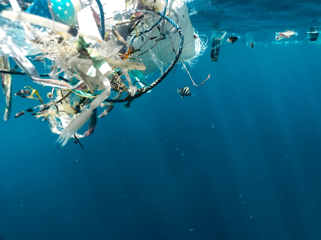 Photo Ocean pollution