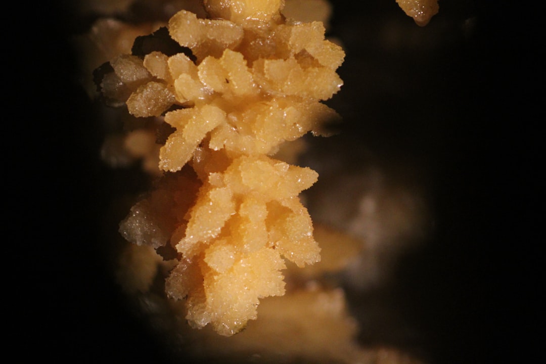 Photo Microbeads