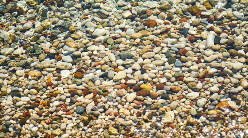 Photo Beach clean-up