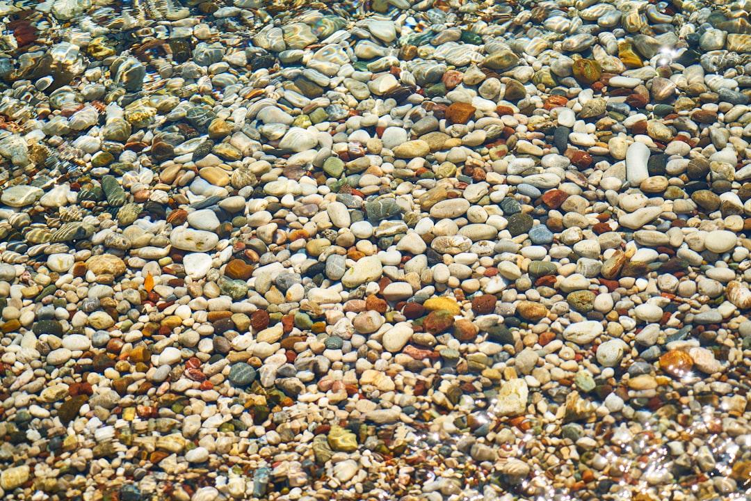 Photo Beach clean-up