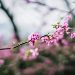 Photo Clean air