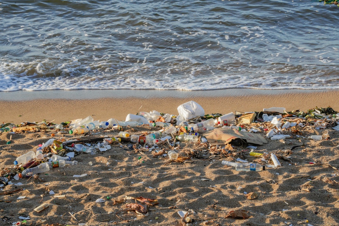 Photo Beach clean-up