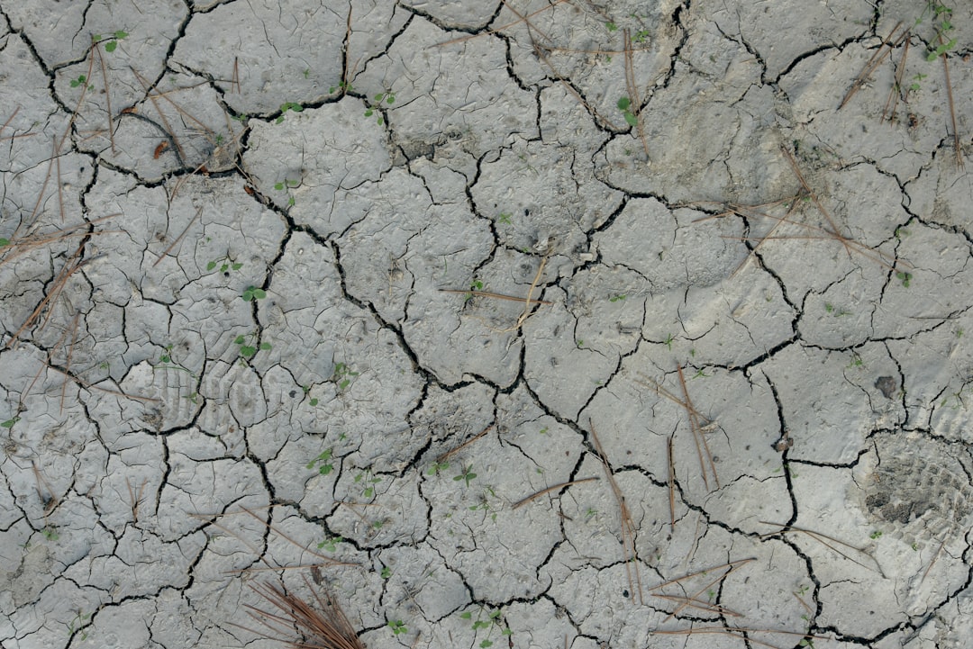 Photo Drought-stricken fields