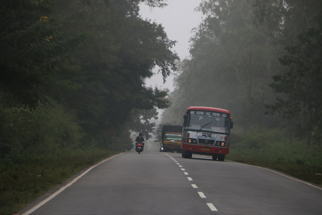 Photo Eco-friendly travel