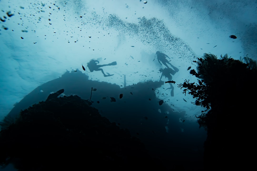 Photo Underwater VR simulation
