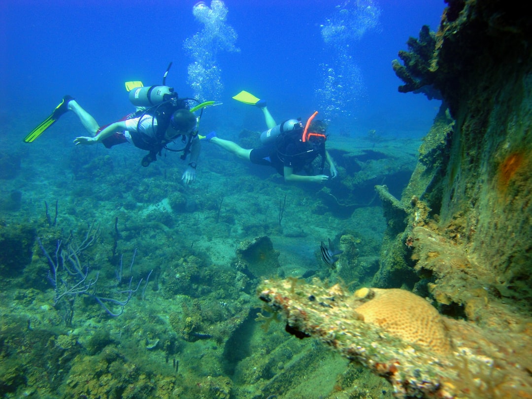 Photo Coral Bleaching
