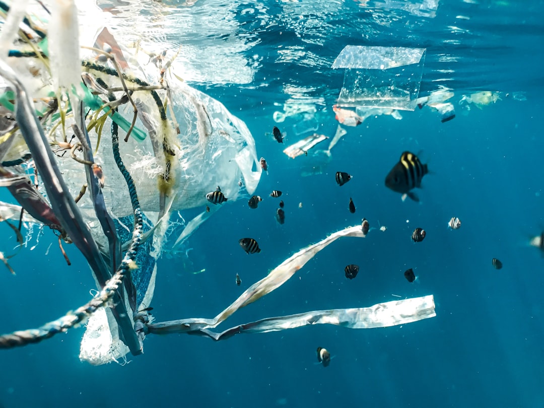 Photo Ocean pollution
