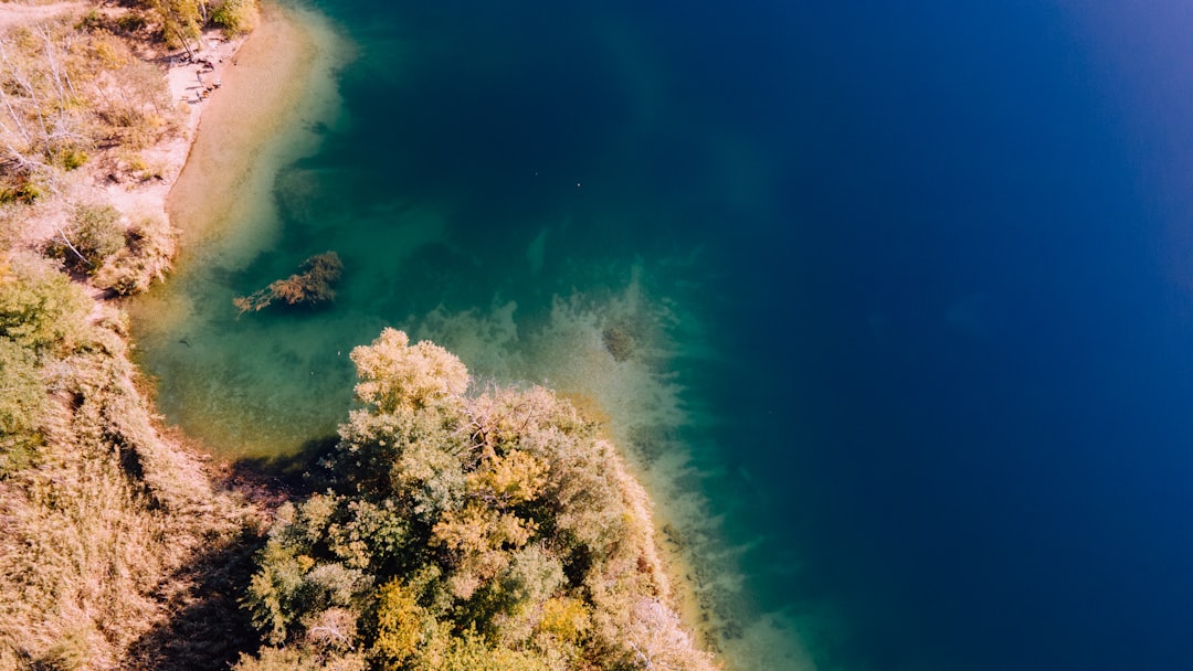 Photo Underwater algae