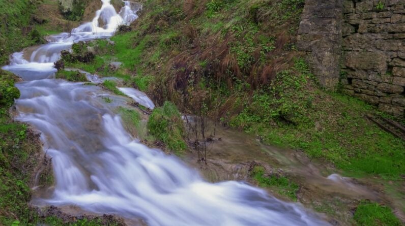 Photo Underwater Forest