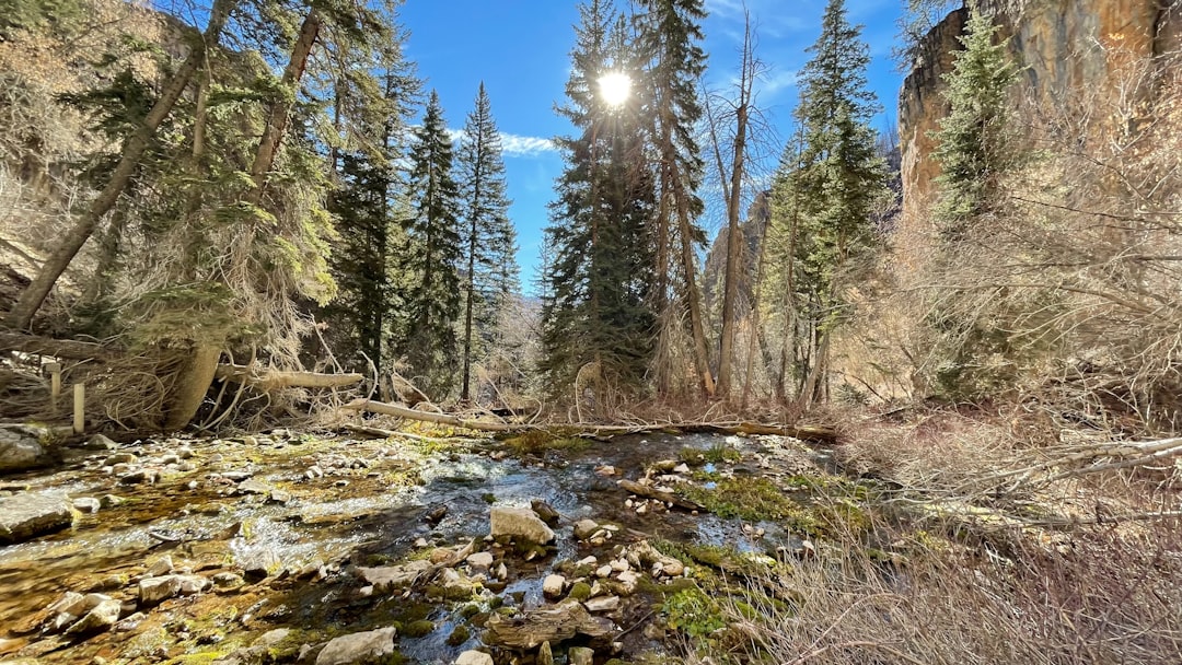 Photo Wilderness Restoration