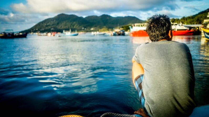 Photo Underwater forest