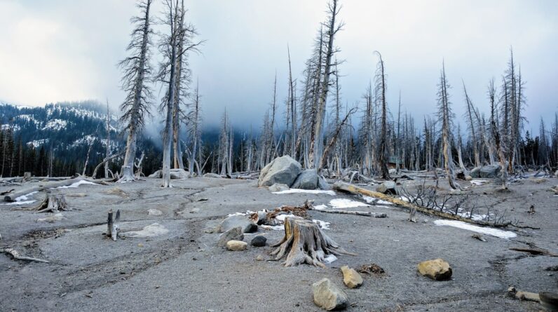 Photo Devastated landscape