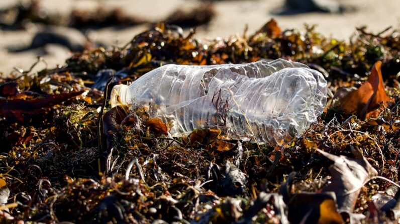 Photo Plastic pollution