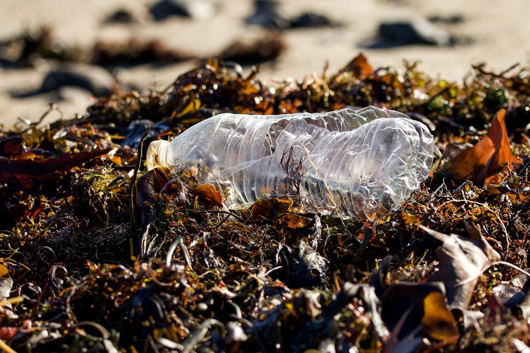 Photo Plastic pollution