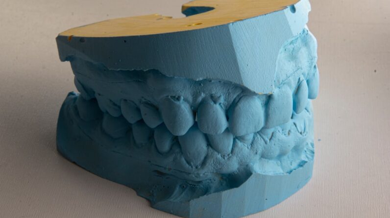 Photo Coral Bleaching