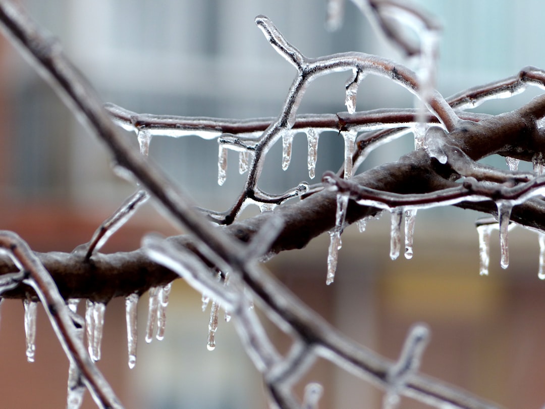 Photo Melting snow