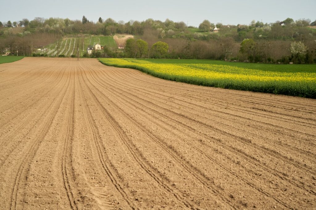 Photo Agricultural runoff