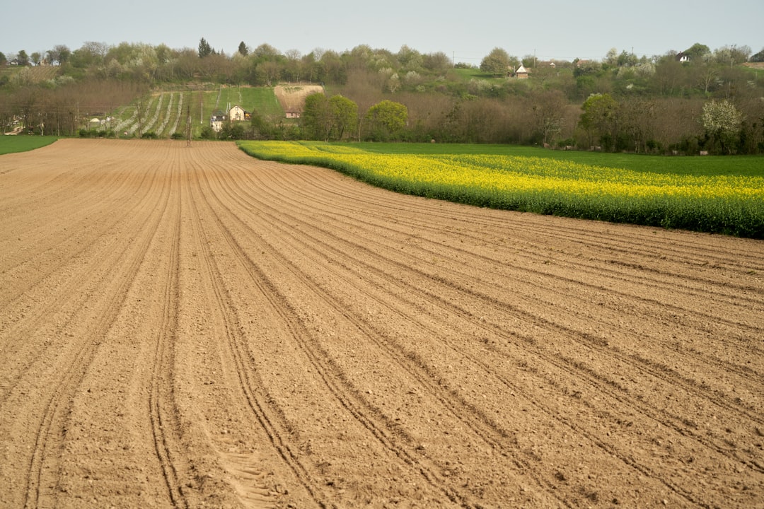 Photo Agricultural runoff