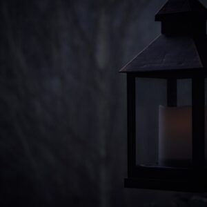 Photo Burning forests