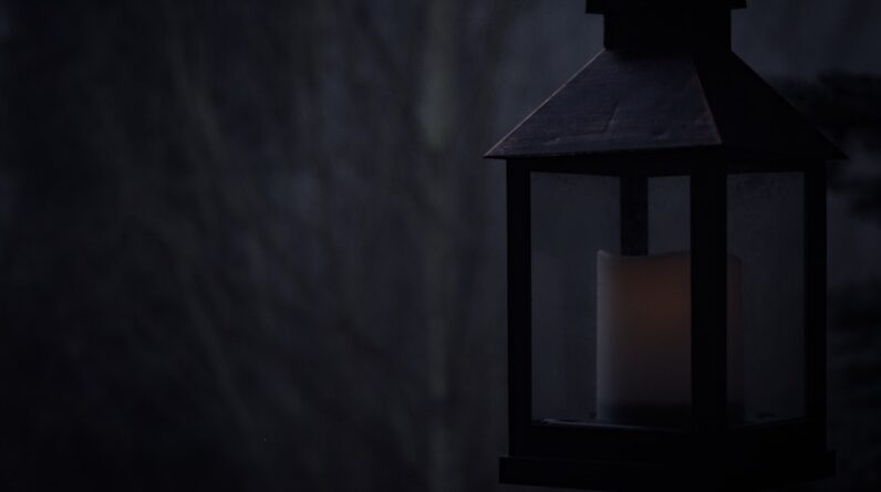 Photo Burning forests