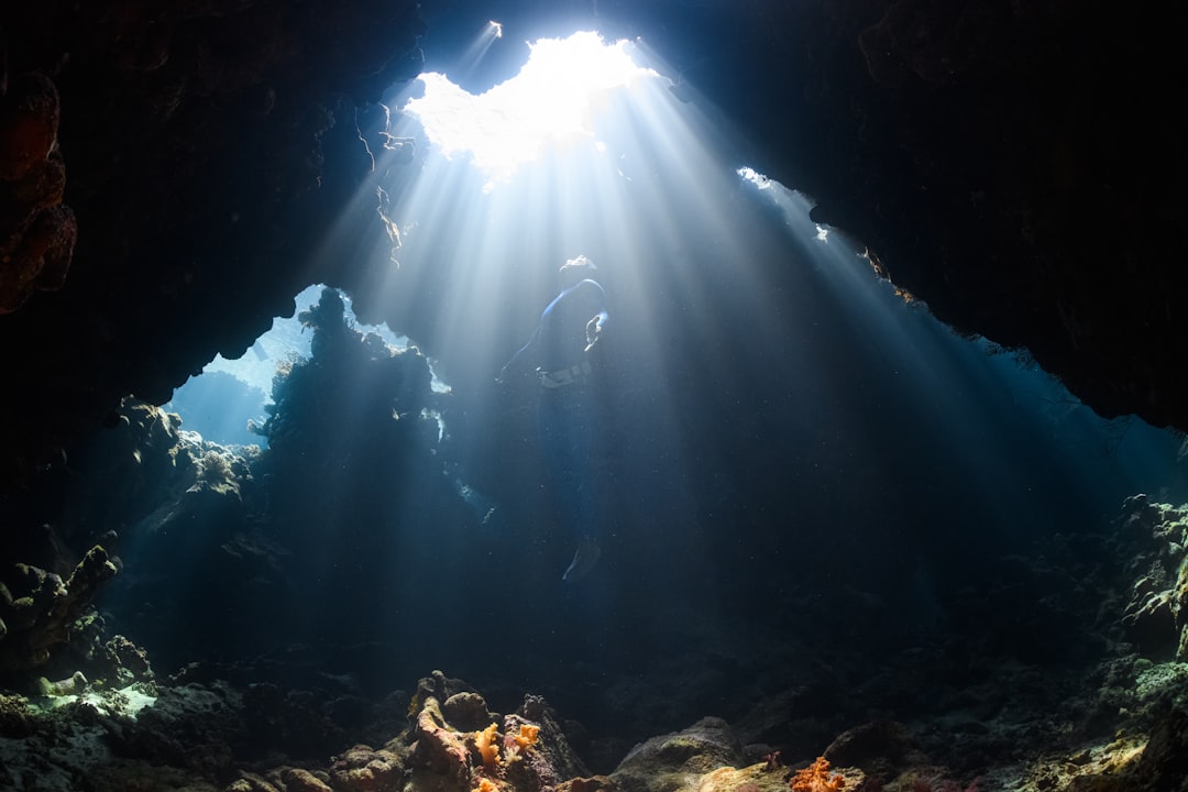 Photo Underwater ecosystem